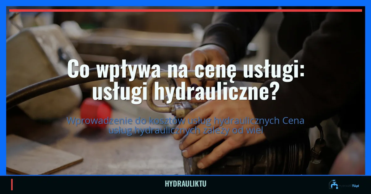 Co wpływa na cenę usługi: usługi hydrauliczne?
