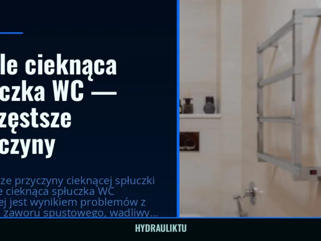 Ciągle cieknąca spłuczka WC — najczęstsze przyczyny — hydrauliktu