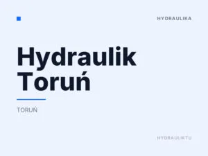 Hydraulik Toruń