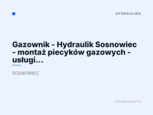 Gazownik – Hydraulik Sosnowiec – montaż piecyków gazowych – usługi hydrauliczne gazownicze Sosnowiec