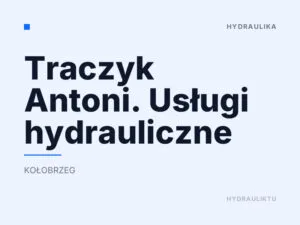 Traczyk Antoni. Usługi hydrauliczne