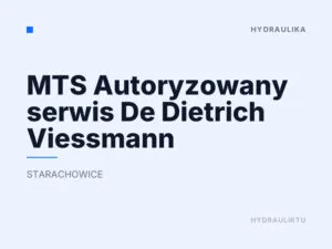 MTS Autoryzowany serwis De Dietrich Viessmann