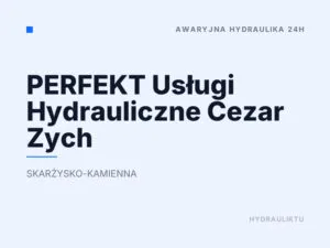 PERFEKT Usługi Hydrauliczne Cezar Zych