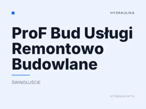 ProF Bud Usługi Remontowo Budowlane