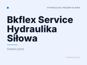 Bkflex Service Hydraulika Siłowa