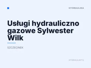 Usługi hydrauliczno gazowe Sylwester Wilk