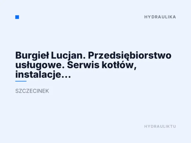 Burgieł Lucjan. Przedsiębiorstwo usługowe. Serwis kotłów, instalacje hydrauliczne