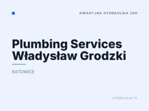Plumbing Services Władysław Grodzki