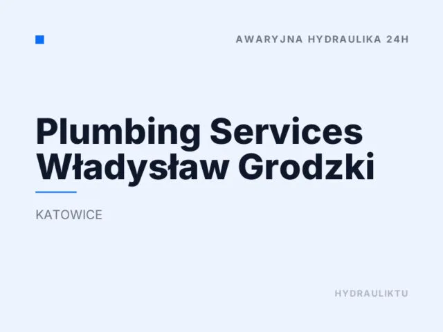 Plumbing Services Władysław Grodzki