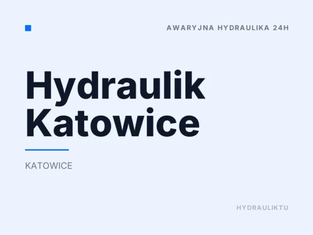Hydraulik Katowice