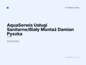 AquaSerwis Usługi Sanitarne/Biały Montaż Damian Pyszka