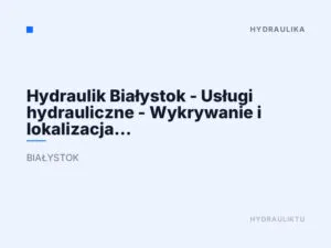 Hydraulik Białystok – Usługi hydrauliczne – Wykrywanie i lokalizacja wycieków Firszt Art